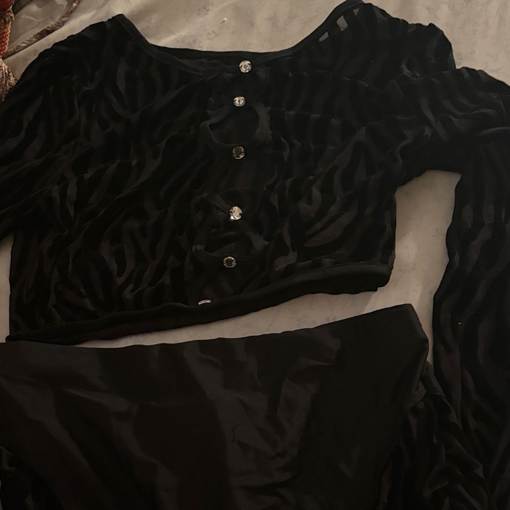 Black Sheer Zebra Print Top and Skirt Set